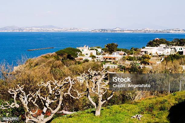 Widok Wyspa Procida Od Ponte Harbur Ischia - zdjęcia stockowe i więcej obrazów Europa - Lokalizacja geograficzna - Europa - Lokalizacja geograficzna, Fotografika, Geografia fizyczna