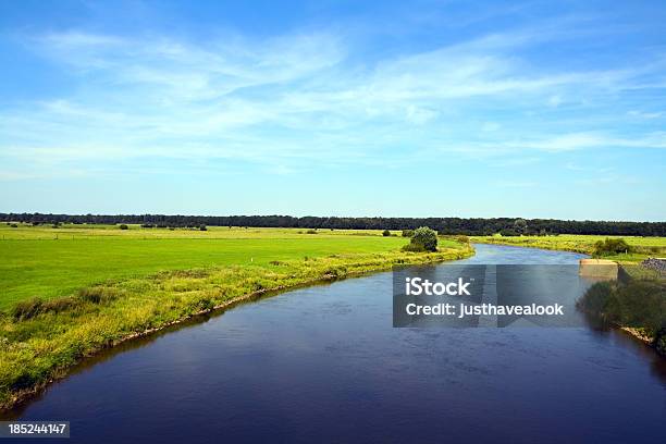 Photo libre de droit de Rivière Allerg En Été banque d'images et plus d'images libres de droit de Allemagne - Allemagne, Arbre, Basse-Saxe