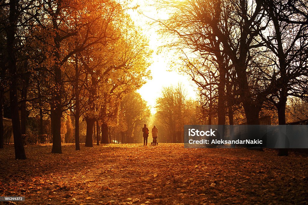 Journée d'automne dans le Parc de Château de Schönbrunn - Photo de Automne libre de droits