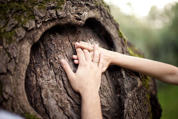 Holding Hands stock photo