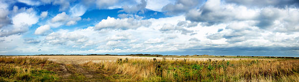 британский прибрежных plains panorama - lindisfarne стоковые фото и изображения