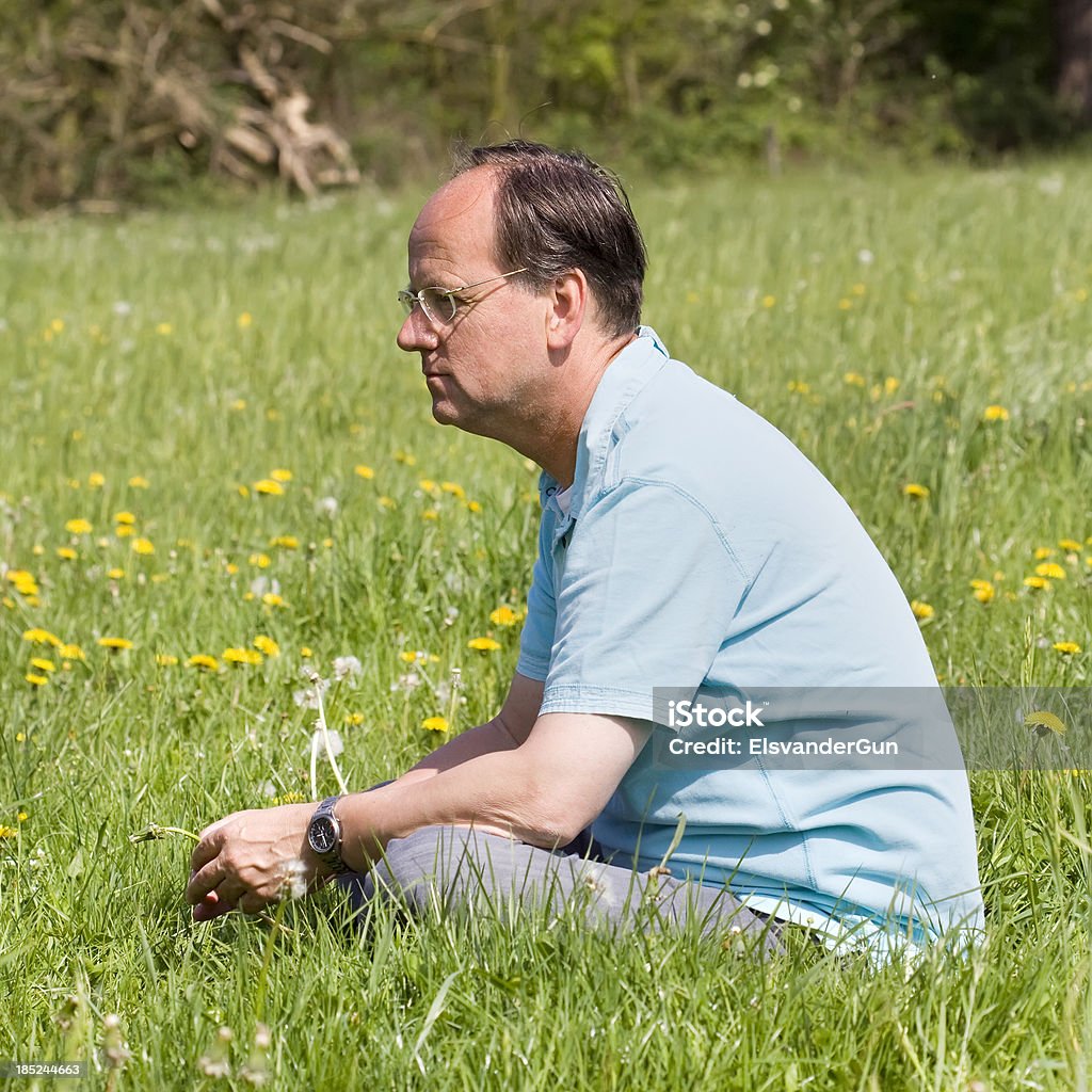 Сидит в поле dandelions - Стоковые фото В профиль роялти-фри