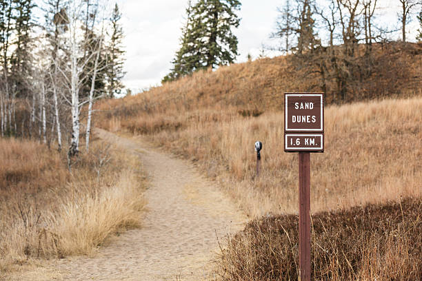 istock Hiking to Sand Dunes 185245042