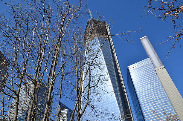 istock Survivor Tree and Freedom Tower at One World Trade Center 185245100