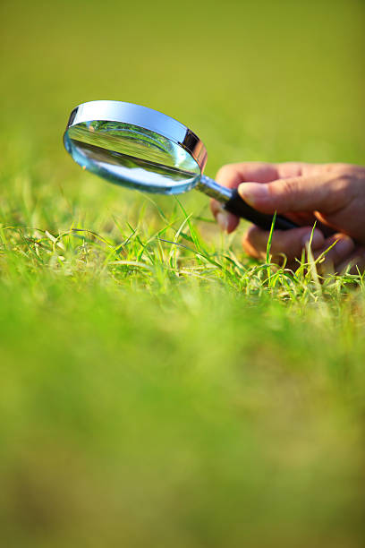 istock Beauty In Nature 185245246