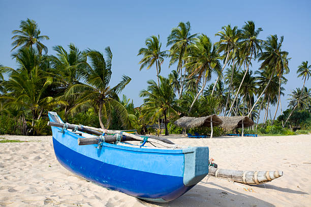 istock Sri Lanka outrigger boat 185245495