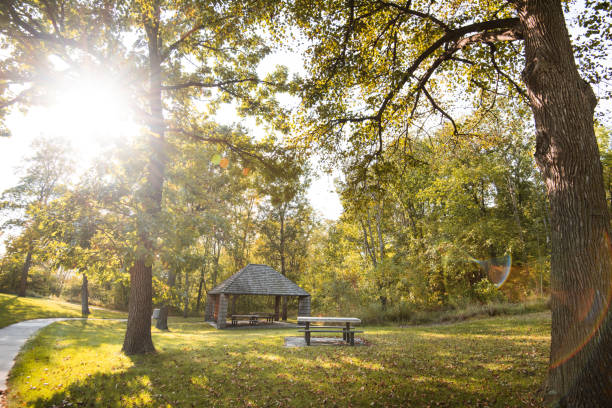 istock autumnal park in vermont 1852456528