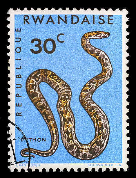 istock Postmark Rwandan Republic Snake 185245738