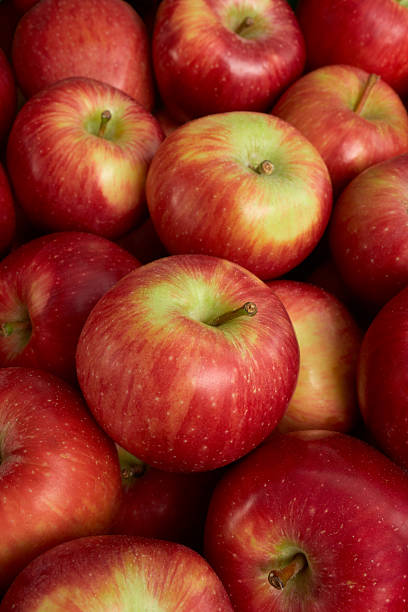 istock Red Apples At Market 185245978