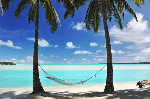 A Hammock hanging from palm trees, the shade of Coconut Palms beside a perfect turquoise lagoon beach ocean on a paradise vacation 