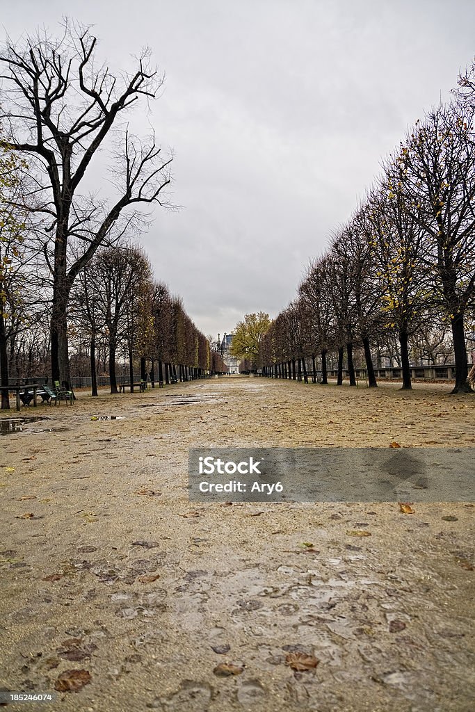 Parigi con la pioggia - Foto stock royalty-free di Albero