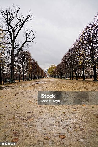 Parigi Con La Pioggia - Fotografie stock e altre immagini di Albero - Albero, Ambientazione esterna, Capitali internazionali