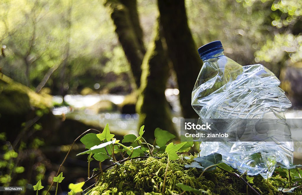 Recycling plastic A bottle of water in a forest Garbage Stock Photo