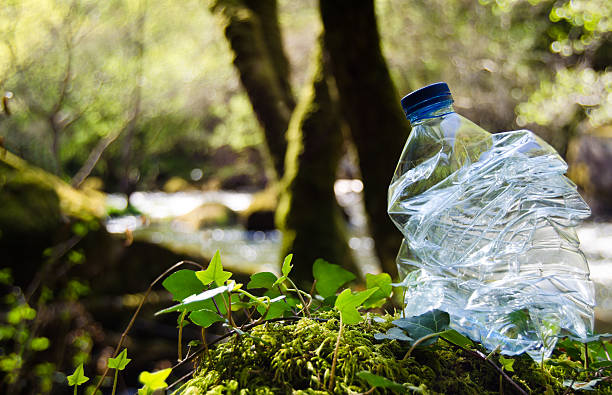 Recycling plastic A bottle of water in a forest plastic bottles stock pictures, royalty-free photos & images