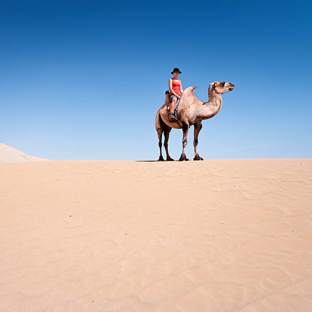 istock Young woman riding on the camel 185246654