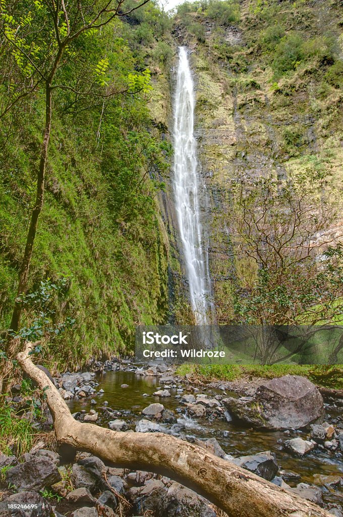 Salto Waimoku, Maui, Hawai - Foto de stock de Acantilado libre de derechos