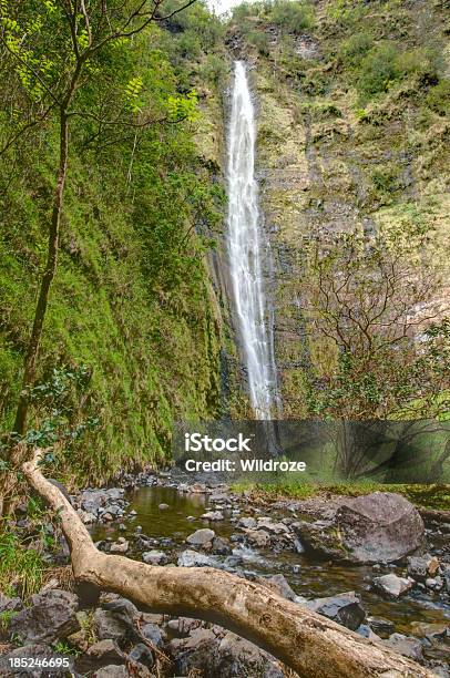 Wodospad Waimoku Maui Na Hawajach - zdjęcia stockowe i więcej obrazów Bez ludzi - Bez ludzi, Drzewo, Fotografika
