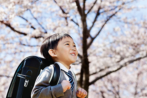 Elementary schoolboy stock photo