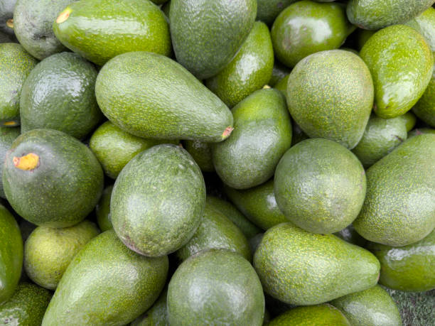 istock fresh raw avocado on market 1852472697