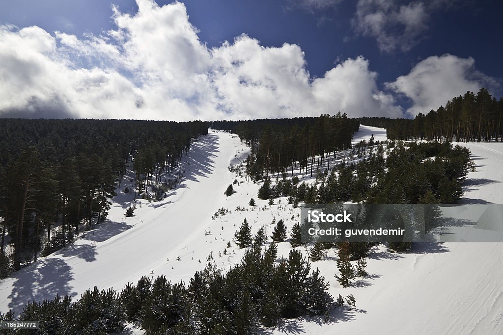 Winter Forest "Forest and Ski Run at snowmass, Sarikamis-Turkey." Alpine Skiing Stock Photo