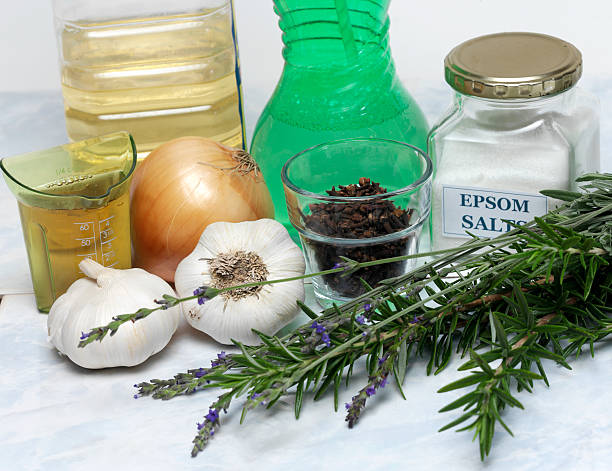 Lavender and Rosemary stock photo