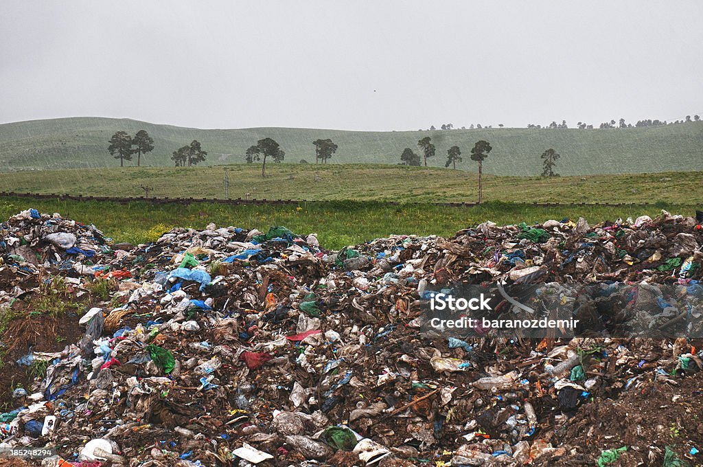 Garbaged Natur - Lizenzfrei Baum Stock-Foto