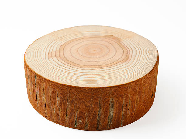 istock Isolated shot of tree cross section on white background 185248389