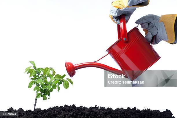 Side View Of Red Watering Can On Green Plant Stock Photo - Download Image Now - Cut Out, Watering Can, Plant