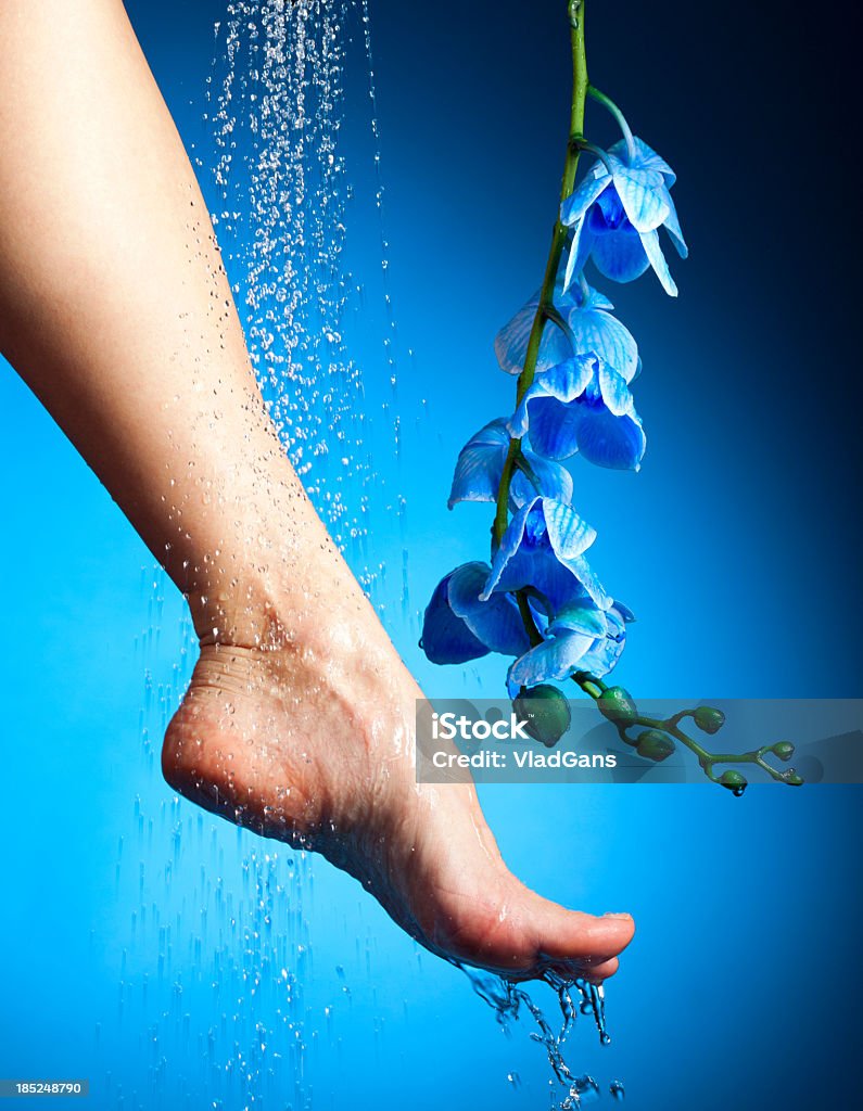 Pernas e azul Orchid - Foto de stock de Balneoterapia royalty-free