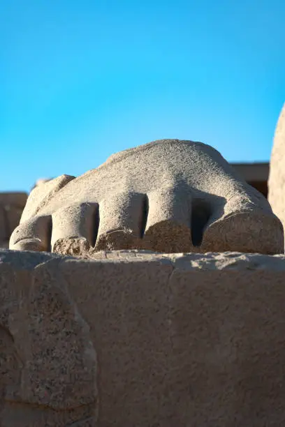 Part of a statue of the fallen Ozymandias Colossus, at the Ramesseum, a memorial temple  for Pharaoh Ramesses II, made famous by the poet Percy Bysshe Shelley. Located on the West bank of the River Nile, Luxor, Egypt.