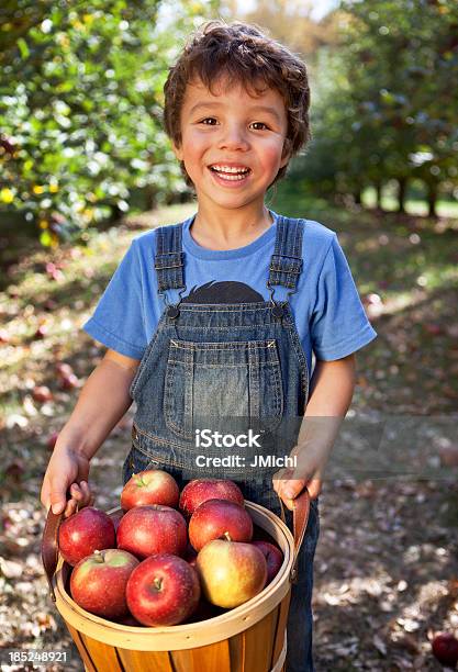 Junge Holding Korb Mit Frisch Geerntetem Minnesota Äpfel Stockfoto und mehr Bilder von Apfel