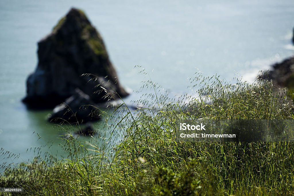 Cliffs on the beach Horizontal image showing a rocky beach and grass on a cliff above the water. Atlantic Ocean Stock Photo