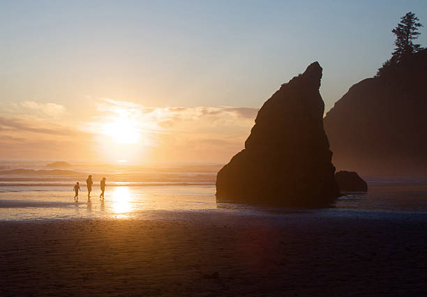 istock Sunset With Seastacks In Olympic National Park 185249579
