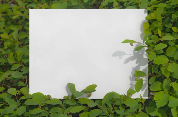 istock Spring background with frame. Template for greeting card, invitation, flyer, banner, poster. 1852498825