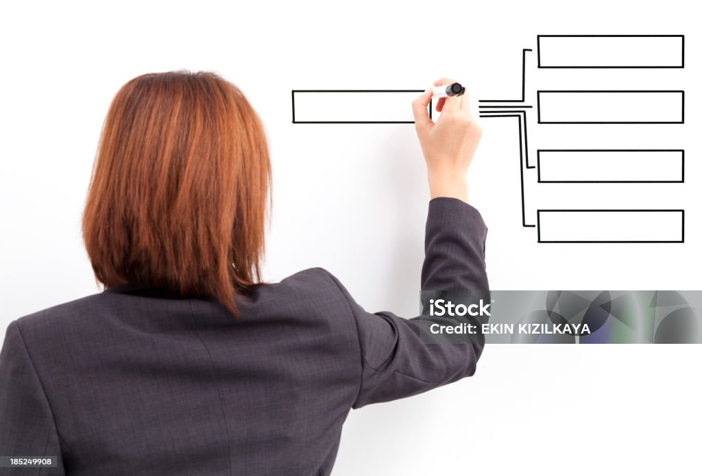 Mujeres de negocio dibujo de diagrama vacío - Foto de stock de Blanco - Color libre de derechos