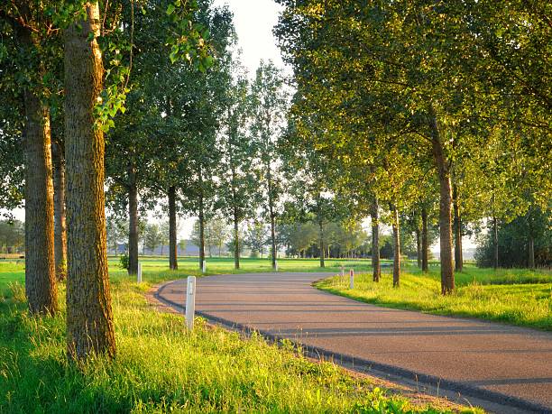 Winding country road through a flat landscape in The Netherlands.