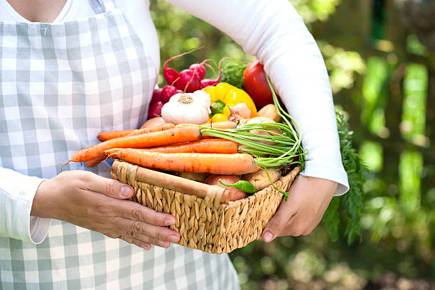 istock Basket With Organic Vegetables Fresh From Market 185250643