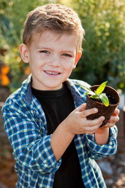 istock Little boy holding seedling in garden 185250777