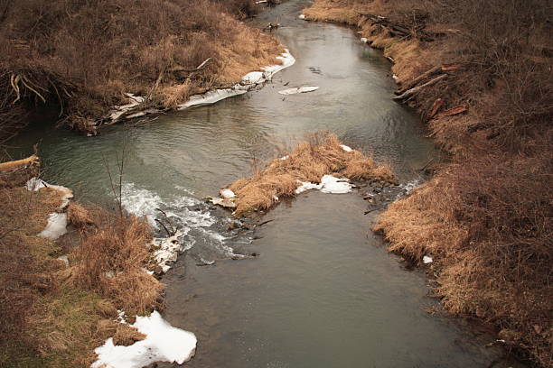 Spring Schneeschmelze Stream banks von Wild – Foto