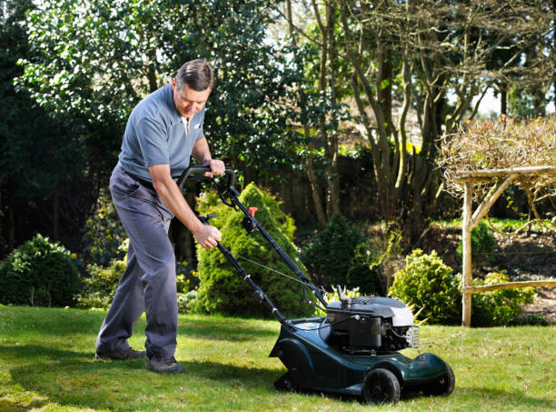 istock Mature Man/ Senior Mowing The Lawn 185251601