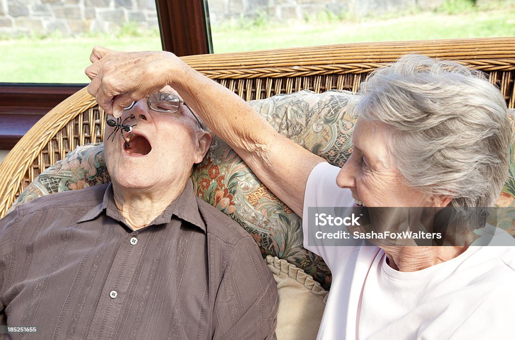 great naugthy grandmother pulling legs of insect (no creature was hurt!) Insect Stock Photo