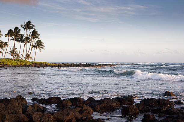 palmy i fale pacyfiku, przy plaży poipu, kauai, hawaje - kauai tropical climate green travel destinations zdjęcia i obrazy z banku zdjęć