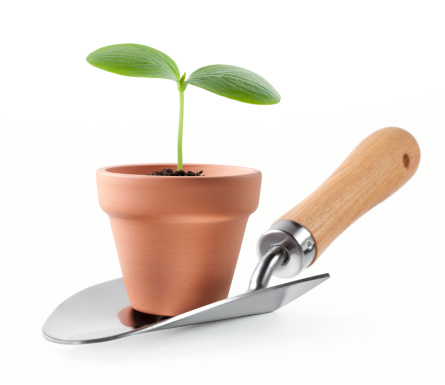 Gardening. Sprout in a garden pot on a trowel.Similar photographs from my portfolio: