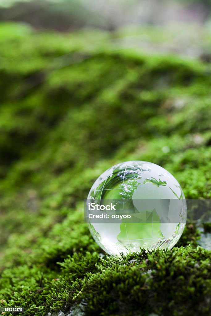 Globus auf feuchtmoosigen Felsen - Lizenzfrei Afrika Stock-Foto