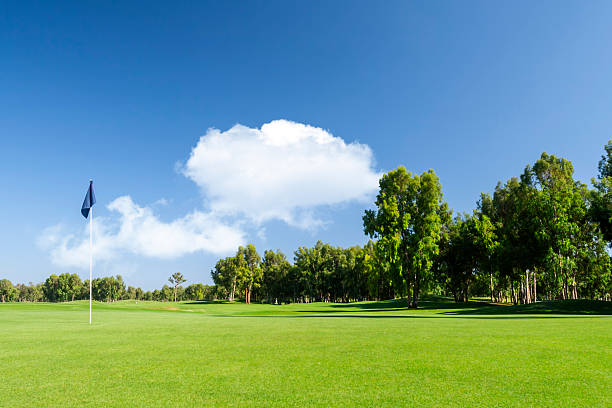 golf golfplatz - golf landscape golf course tree stock-fotos und bilder