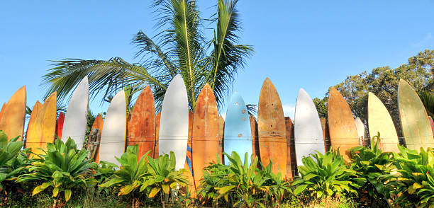 Surfboard fence lit by sunrise