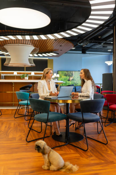 istock Small Shih Tzu sits on smooth floor in friendly office 1852526373