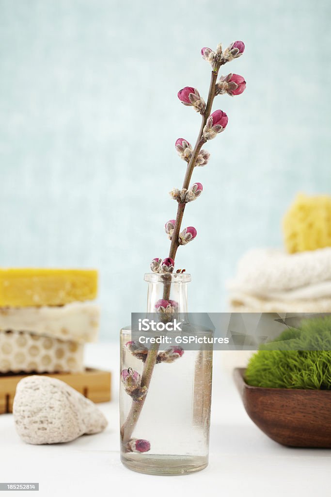 Ancora la vita con fiori in un vaso - Foto stock royalty-free di Asciugamano