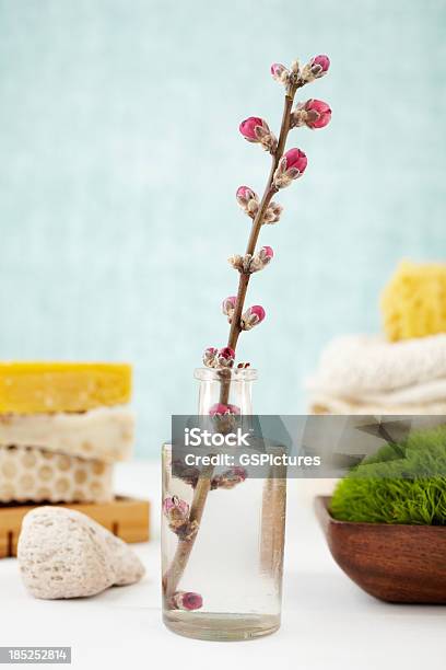 Ancora La Vita Con Fiori In Un Vaso - Fotografie stock e altre immagini di Asciugamano - Asciugamano, Bellezza, Bellezza naturale
