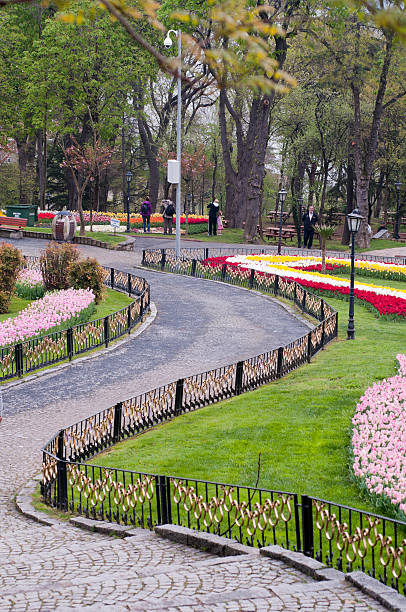 istock Tulips in Emirgan Park, Istanbul, Turkey 185253443